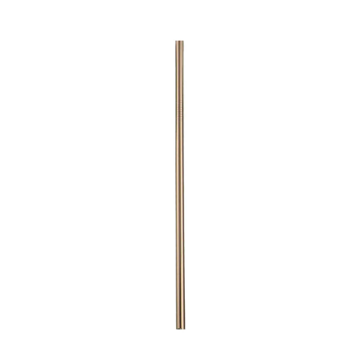 Single Stainless Straw