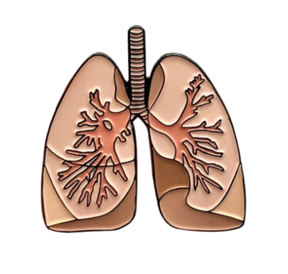 Lungs