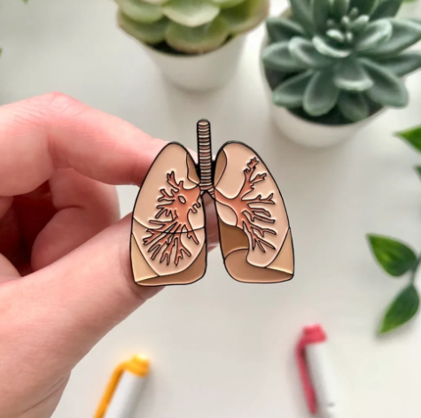 Lungs